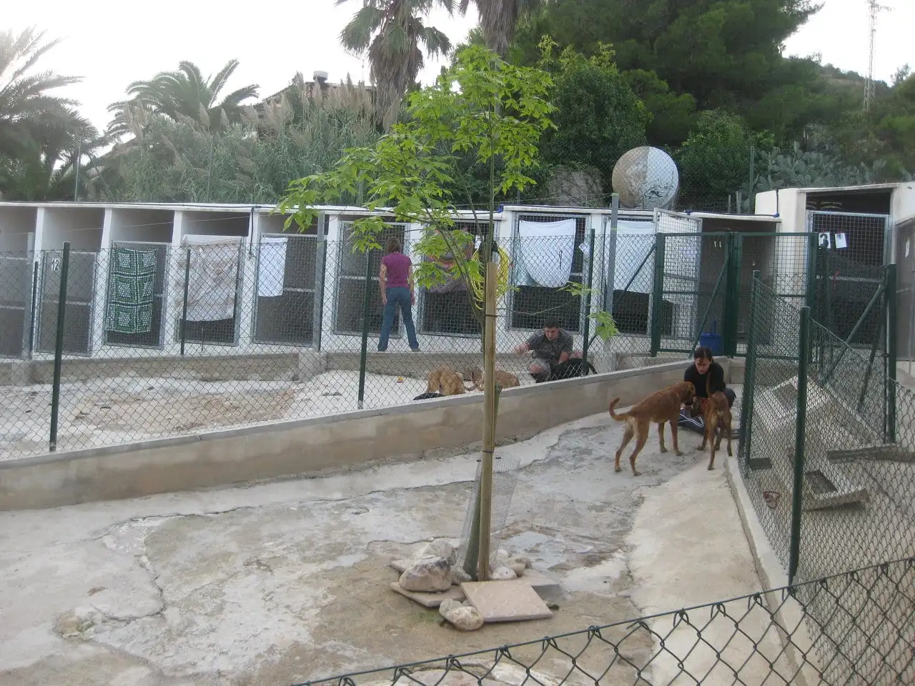 Refugio en 2011