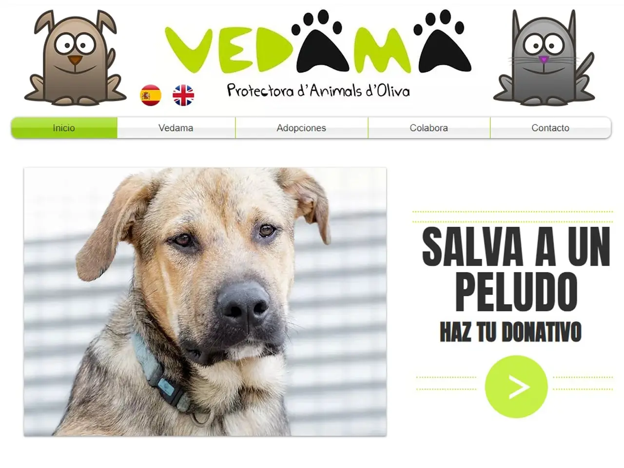 Antiguo sitio web